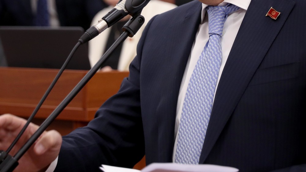 Иллюстрациялык сүрөт