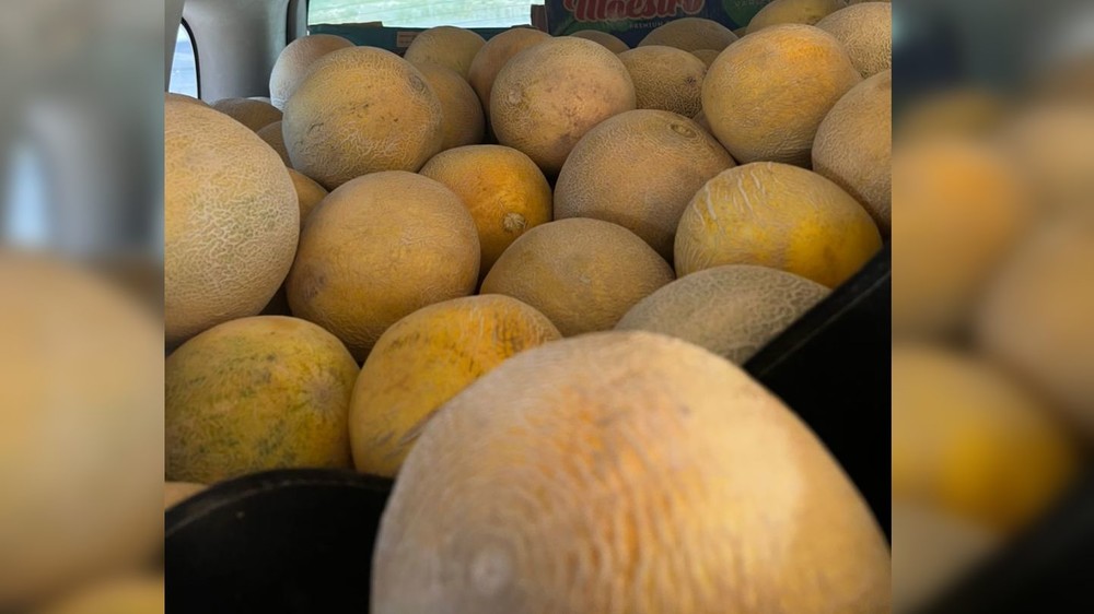 Иллюстрациялык сүрөт