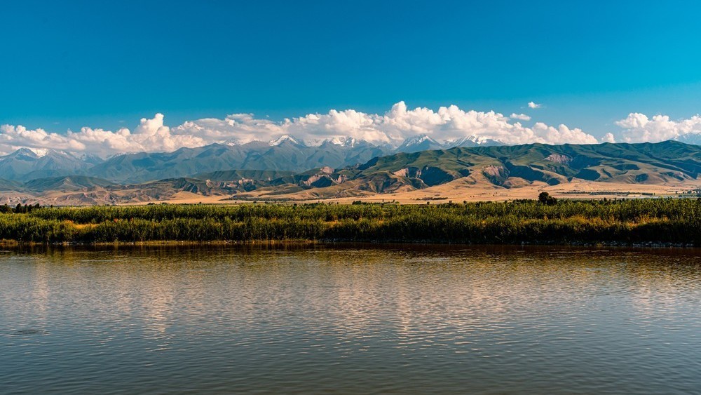 Иллюстрациялык сүрөт