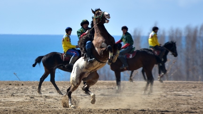 Иллюстрациялык сүрөт