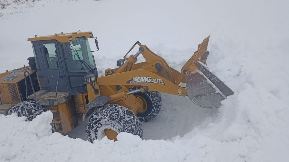 Иллюстрациялык сүрөт