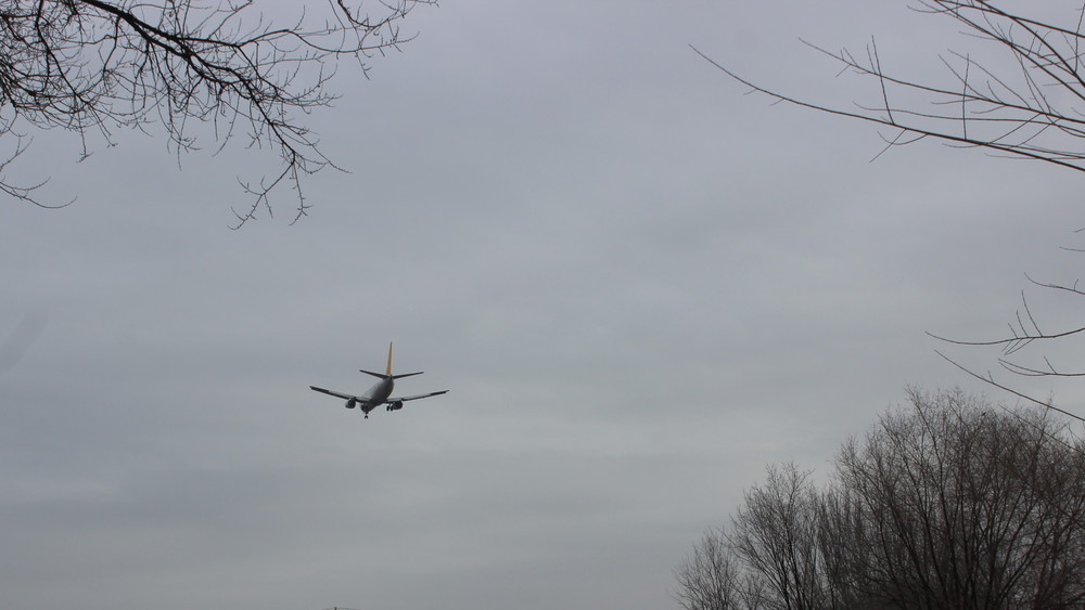 Иллюстрациялык сүрөт