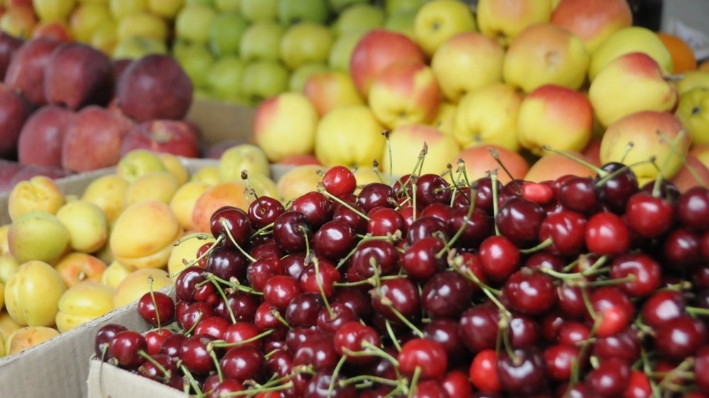 Иллюстративное фото