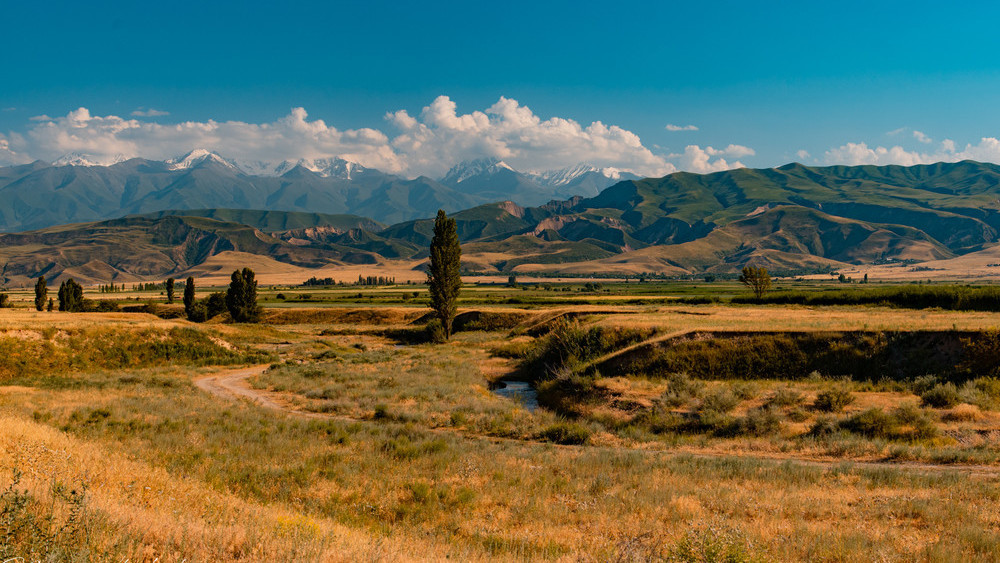 Иллюстрациялык сүрөт