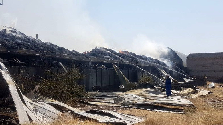 Иллюстрациялык сүрөт