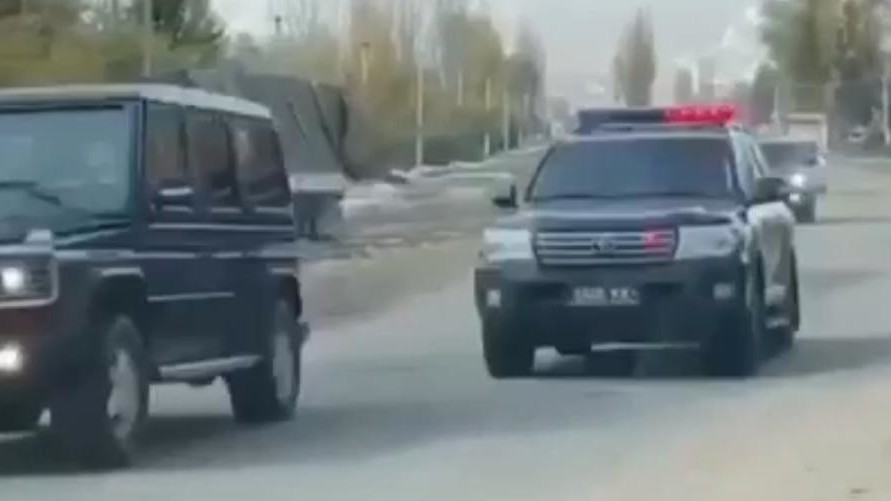 Иллюстрациялык сүрөт