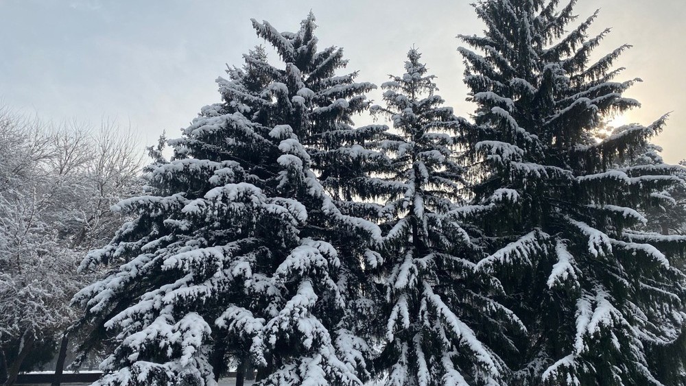 Центральный сквер трудовой славы