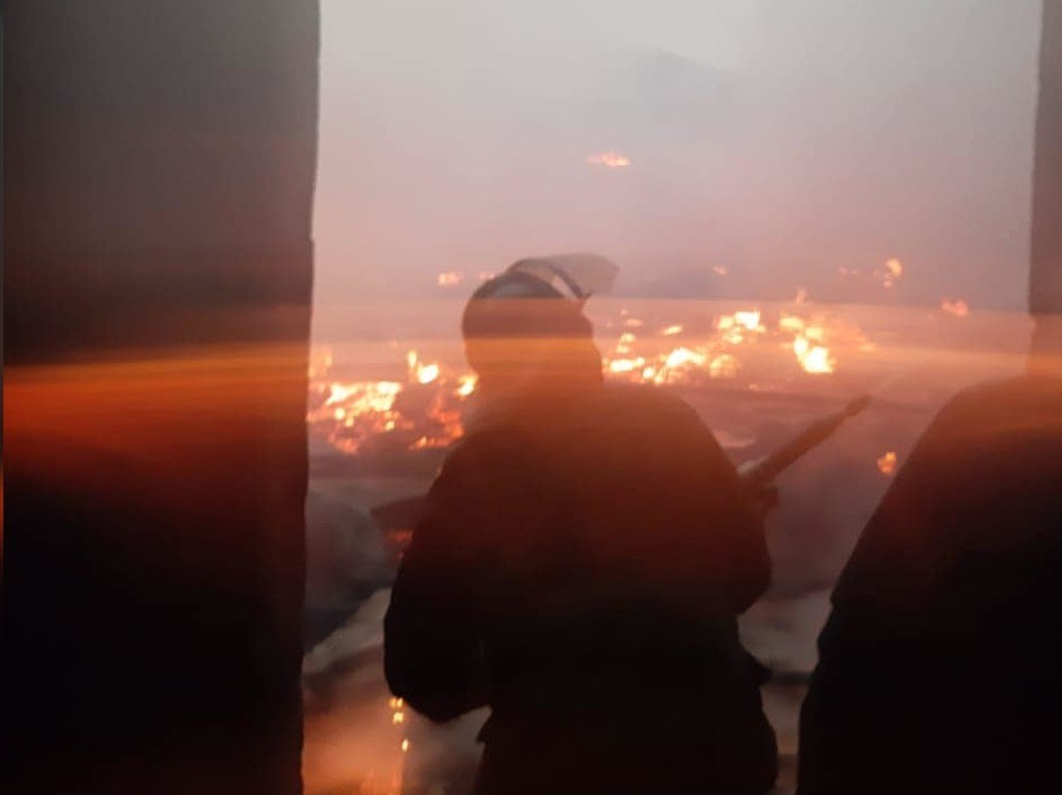 Иллюстрациялык сүрөт