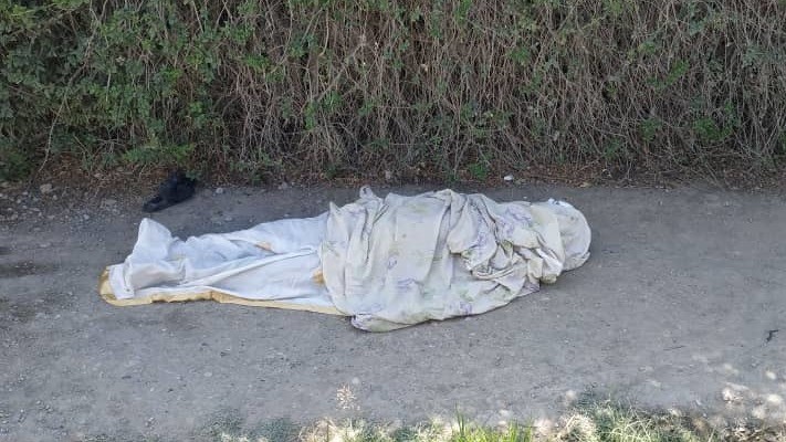 Иллюстративное фото