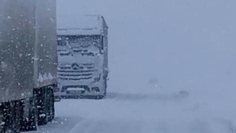 Иллюстрациялык сүрөт