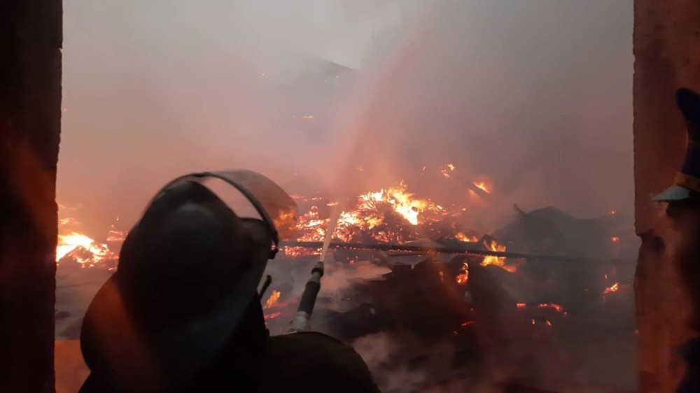 Иллюстрациялык сүрөт