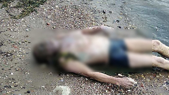 Иллюстративное фото