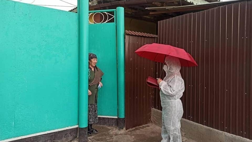 Иллюстрациялык сүрөт