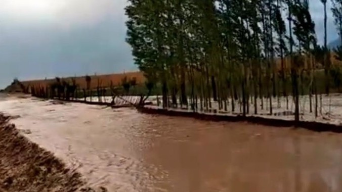 Иллюстративное фото