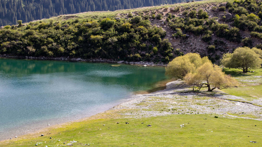 Ущелье Чон-Кемин