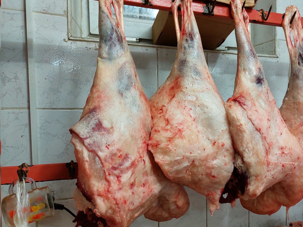 Иллюстрациялык сүрөт