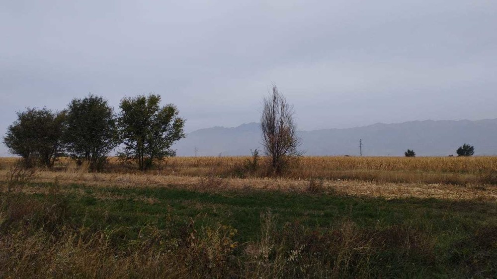 Иллюстрациялык сүрөт