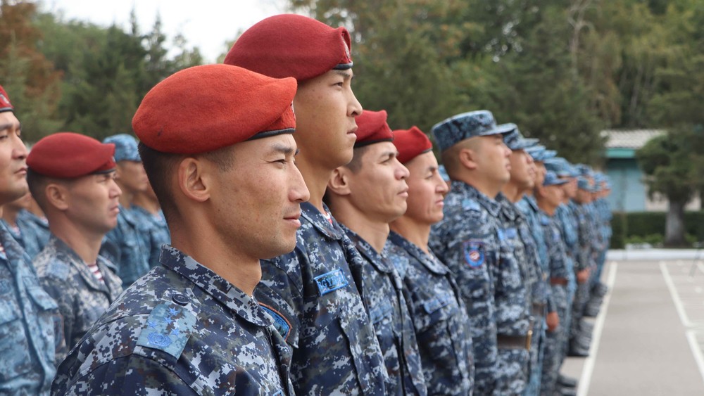 Иллюстративное фото