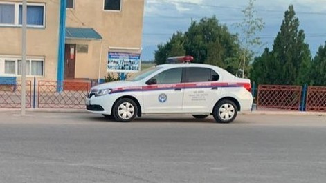 Иллюстрациялык сүрөт