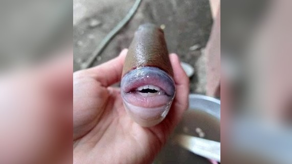 Фото: @raff_nasir