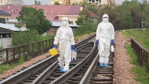 Иллюстрациялык сүрөт