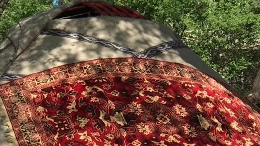 Иллюстрациялык сүрөт