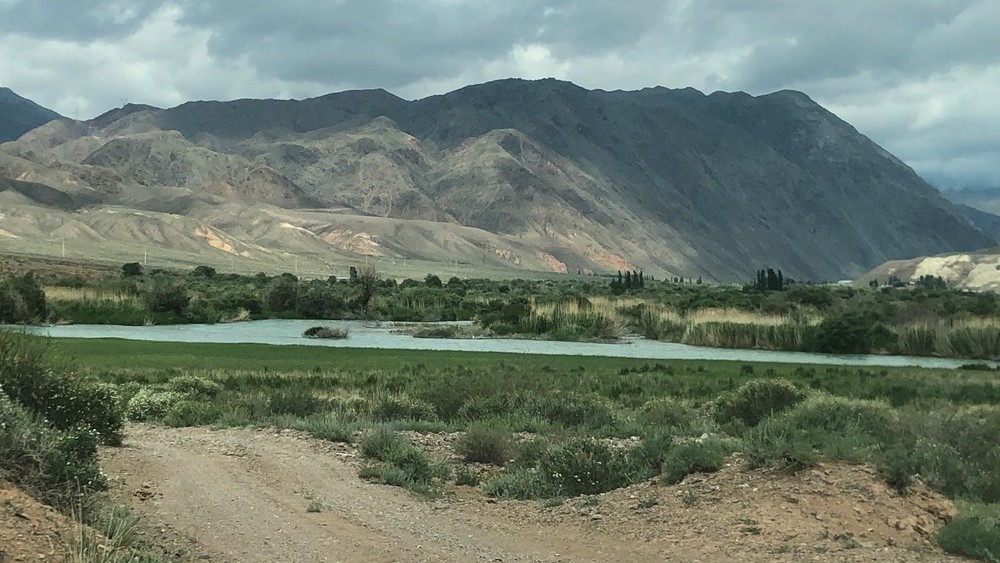 Иллюстрациялык сүрөт