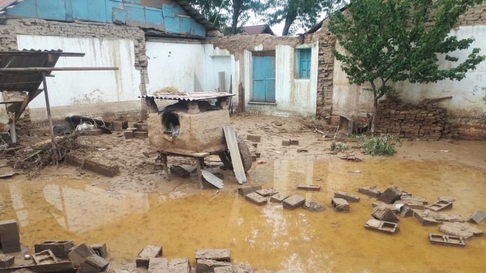 Иллюстрациялык сүрөт