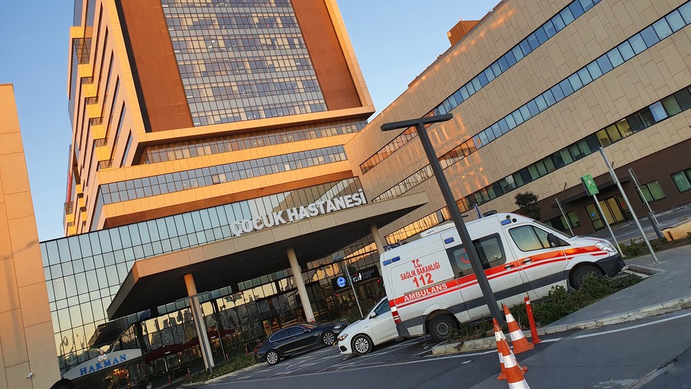 Иллюстрациялык сүрөт