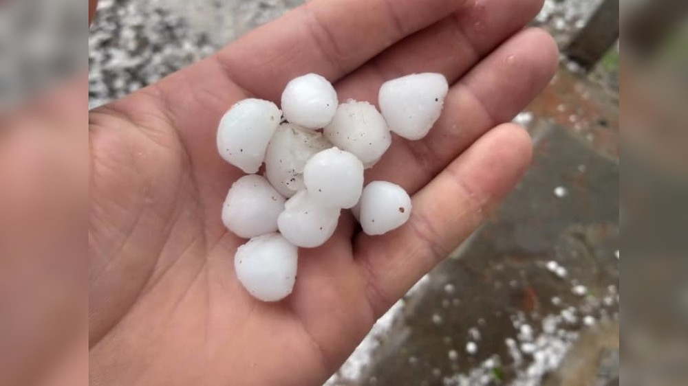 Иллюстрациялык сүрөт