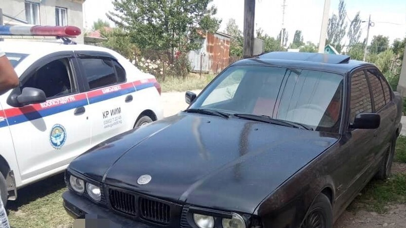 Иллюстрациялык сүрөт