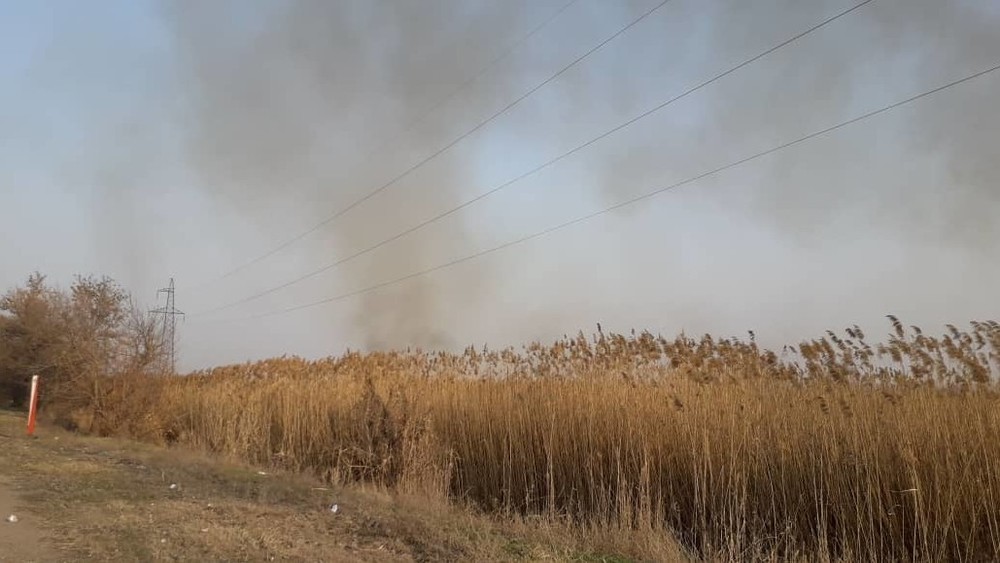 Иллюстрациялык сүрөт