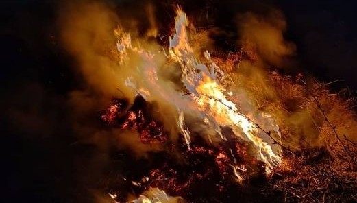 ӨКМ тарабынан тартылган сүрөт