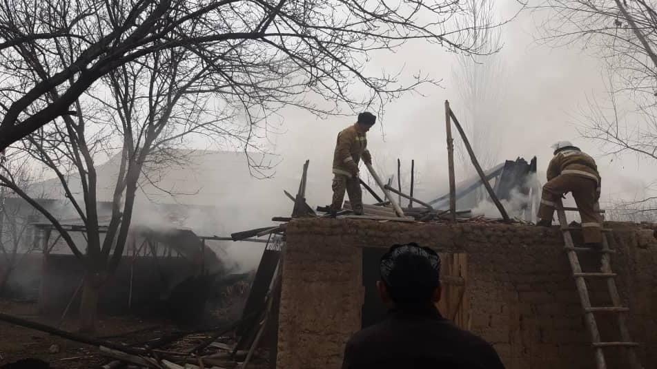 Иллюстрациялык сүрөт