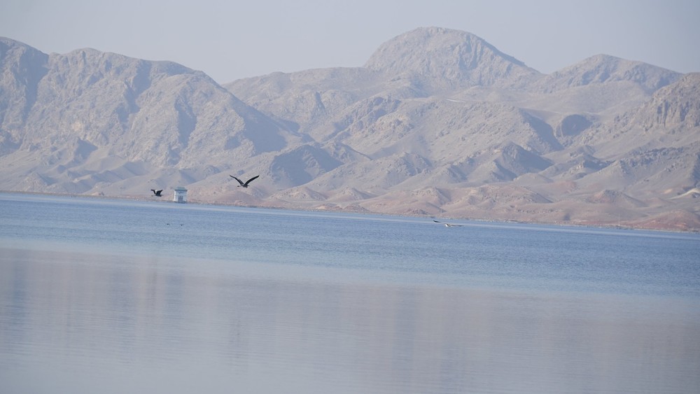 Торт-Гульское водохранилище