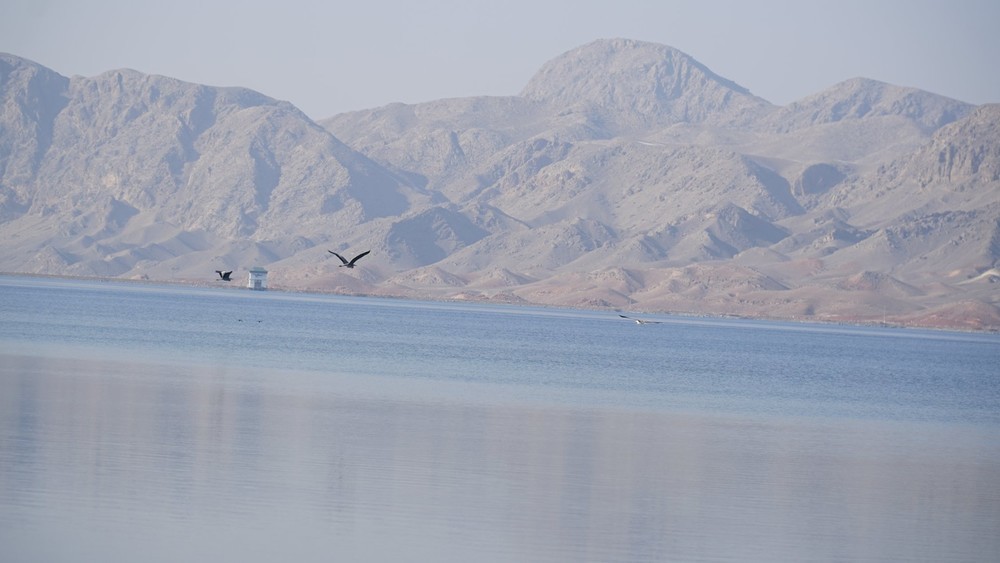 Иллюстрациялык сүрөт