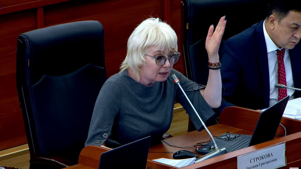 Депутат Евгения Строкова