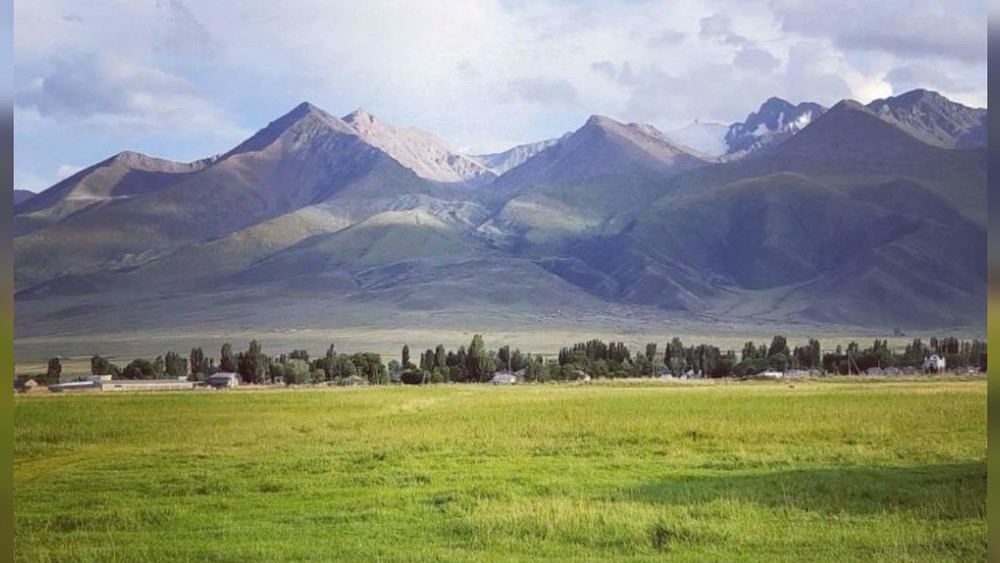 Иллюстрациялык сүрөт