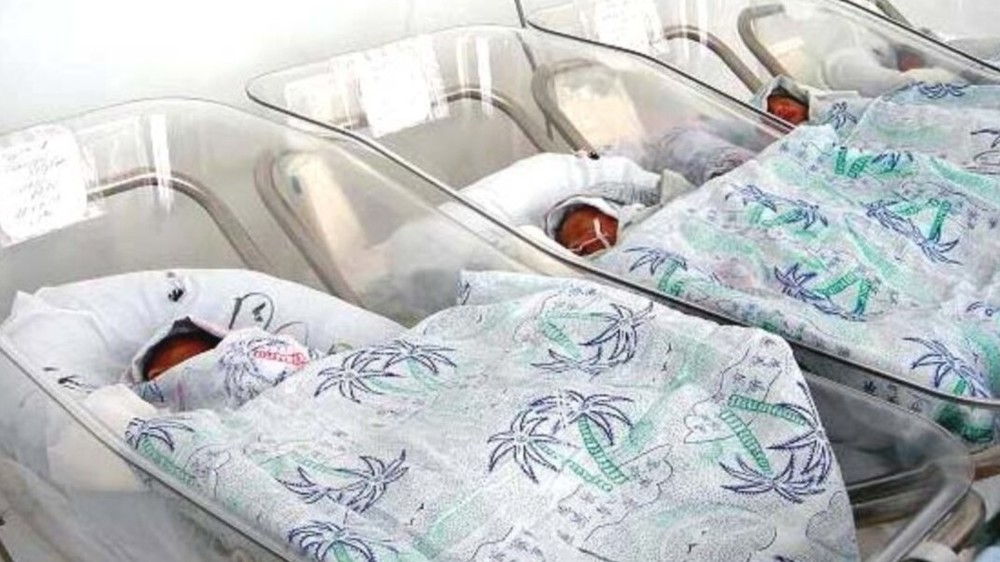 Иллюстрациялык сүрөт