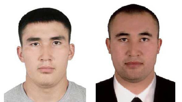 Подозреваемые