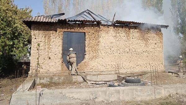 Иллюстрациялык сүрөт