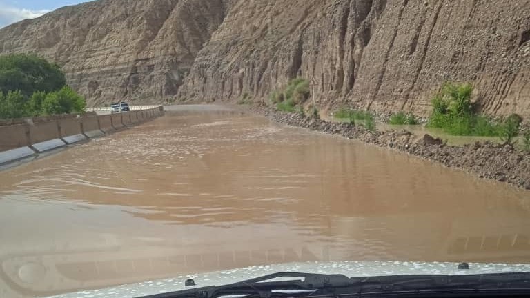 Иллюстрациялык сүрөт