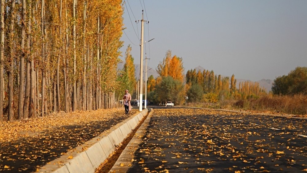 Иллюстрациялык сүрөт