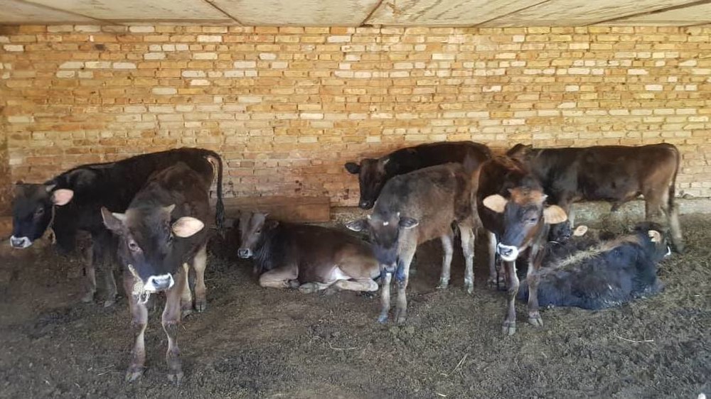 Иллюстративное фото