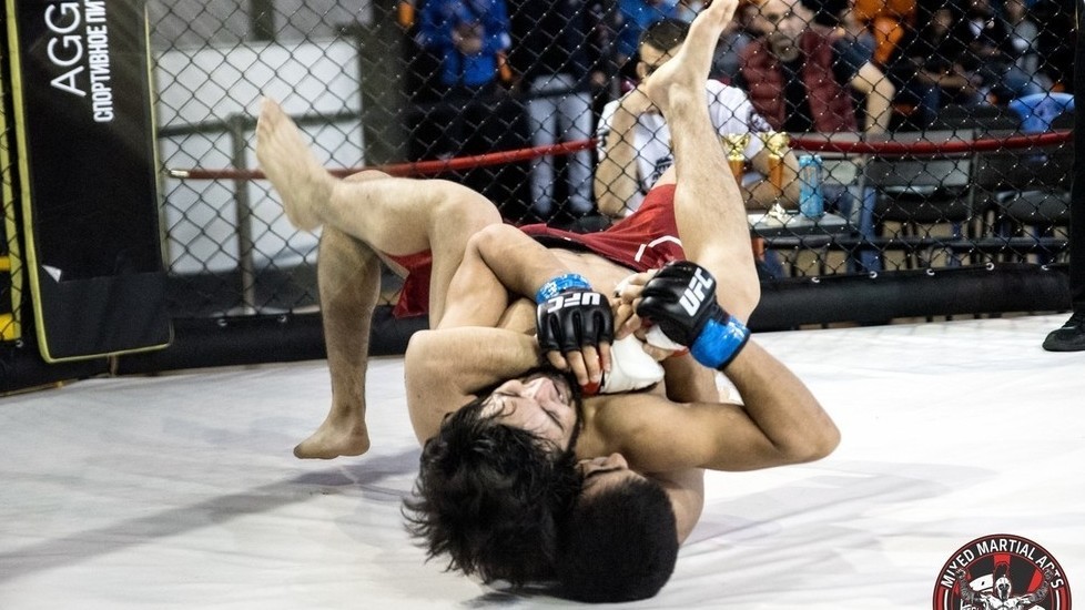 Иллюстрациялык сүрөт