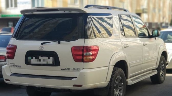 Иллюстрациялык сүрөт