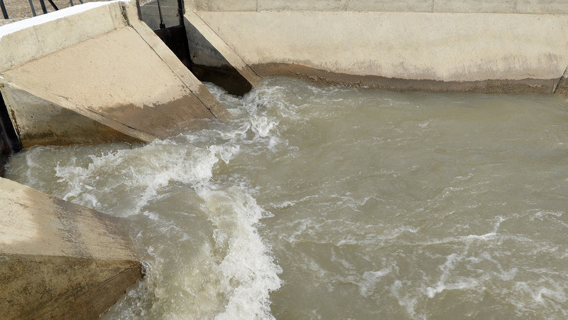 Иллюстрациялык сүрөт