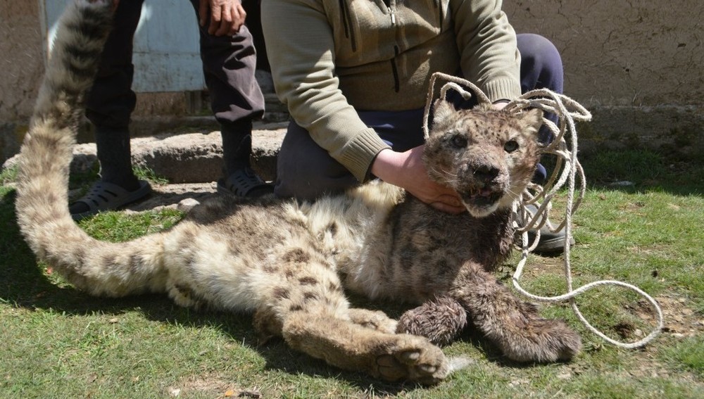 Жамбастың арасын сермеу