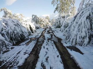 Чон-Кеминская долина