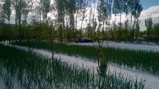 Село Талды-Суу Тюпский район